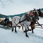 Ranc Pod Ostrou Skalou