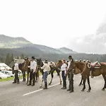Ranc Pod Ostrou Skalou Gospodarstwo wiejskie *