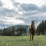 Ranc Pod Ostrou Skalou Landhaus *
