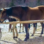 Ranc Pod Ostrou Skalou * Stratená