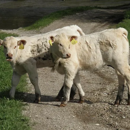 Ranc Pod Ostrou Skalou Landhaus