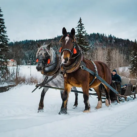 בית כפרי Ranc Pod Ostrou Skalou *