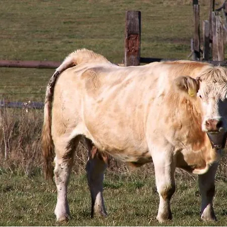 Ranc Pod Ostrou Skalou Stratená