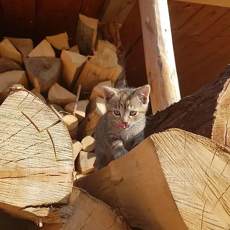 Ranc Pod Ostrou Skalou Stratená