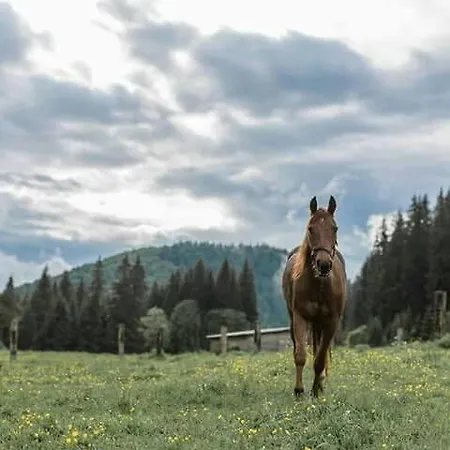 Ranc Pod Ostrou Skalou בית כפרי *