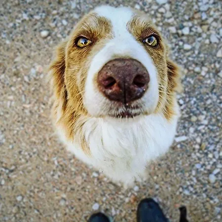 Ranc Pod Ostrou Skalou *