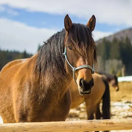 Ranc Pod Ostrou Skalou Landhaus