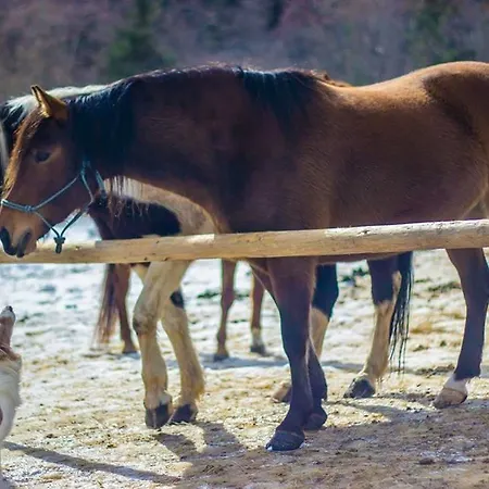 Ranc Pod Ostrou Skalou * Stratená