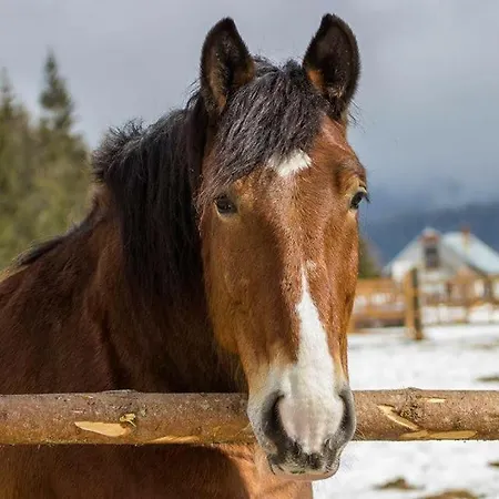 Landhaus Ranc Pod Ostrou Skalou