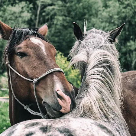 Ranc Pod Ostrou Skalou Séjour à la campagne *